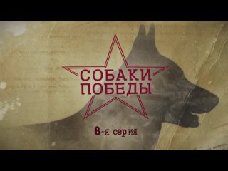 Видеоуроки СОБАКИ ПОБЕДЫ (РЖЯ, субтитры) 08 серия