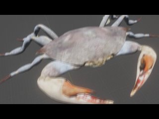 Краб ржачка  (Our crab is an awesome crab)