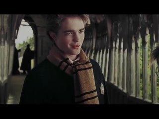 Cedric Diggory | Harry Potter