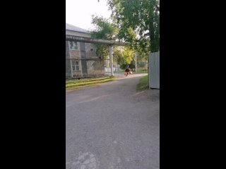 Видео от Оли Пестряковой
