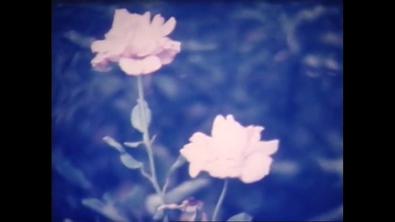 When the flower blooms (1990) dir. Noboru Yanase