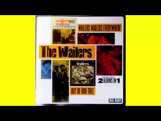 The Wailers-Wailers Wailers Everywhere-Out Of Your Tree (2003)