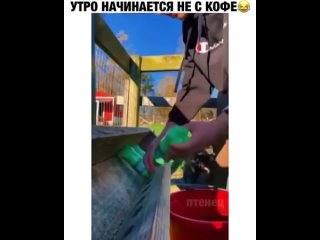 Video by Васильки_О Женском...