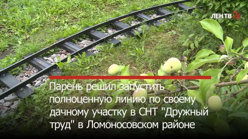 Студент построил трамвайную линию на своей даче в Ленобласти