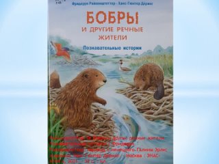 Райхенштеттер, Фридерун. Бобры и другие речные жители. Познавательные истории : цикл видеообзоров “BOOKСимпатия“ (0+).