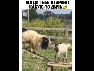 Наверное говорит, чтобы уступил дорогу дедушке 😂