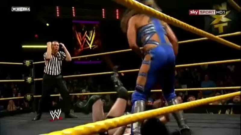 Paige vs Tamina