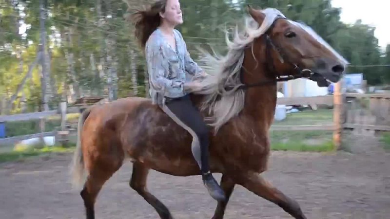 Riding Ladies