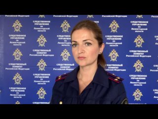 Видео от СУ СК России по Ленинградской области