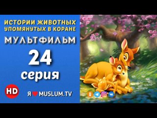 24 серия. 2 часть. Истории животных упомянутых в Коране. Осел Пророка Узайра.