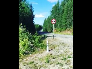 Video by Nadezhda Shpilchak