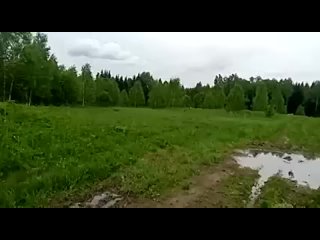 Video by Konstantin Larionov