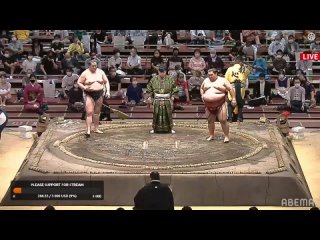 Sumo Live Stream (相撲) - 2021 September Grand Sumo Tournament: Day 8