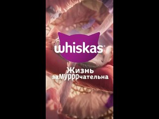 [Whiskas® Russia] Ешь. Спи. Мурчи. Повтори.