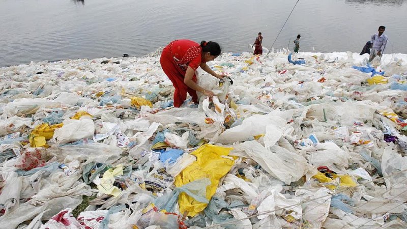 Влияние пластиков на окружающую среду. Полиэтиленовые пакеты в окружающей среде. Загрязнение пластиковыми пакетами.