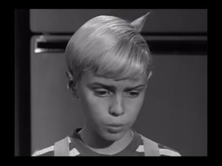 Деннис-мучитель / Dennis the Menace, (1959–1963) сезон 2 серия 38   / s02e38-dennis-and-the-picnic