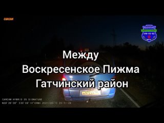 Сбили Лося Пижма Воскресенское .mp4