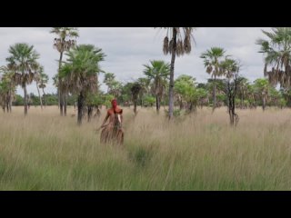 Zama (Lucrecia Martel, 2017)