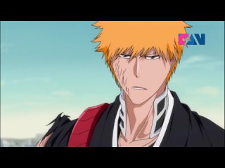 365 серия Блич / Bleach, (FAN).