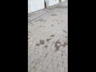 Видео от Юлии Сидоровой