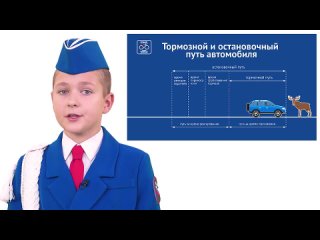 Video by РЦ БДД и ЮИД Приморского района