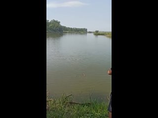 Видео от Рыбалка в г. Луга и Лужском районе ЛО