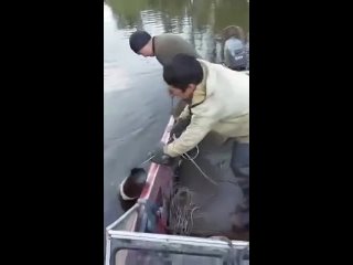 Yakut fishermen found a mammoth tusk in the river