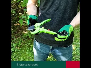 Виды секаторов