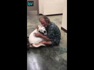 Бездомный воссоединился со своей потерянной собакой в приюте.
