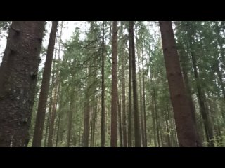 Видео от Новгородская славянская община ВОЛХВА