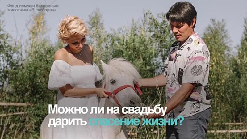 Молодожены из Москвы отказались от цветов ради слепого спасения жеребенка