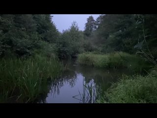Vídeo de Svetozar Simbirski