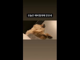 210727 Lee Jung Shin instastory 1