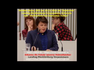 BfeD - Attila Hildmann - Stefanie Drese SPD - Deutsche haben kein Recht auf Fortbestand -