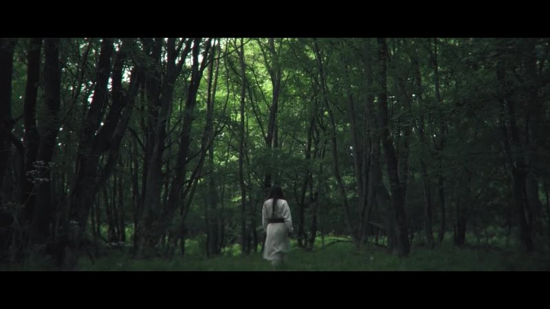 Aquilus - Into Wooded Hollows (Official Music Video )