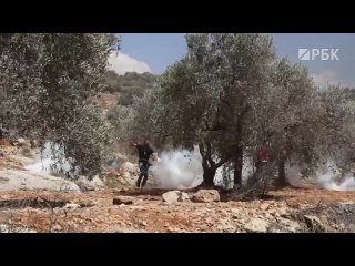Палестинцы против строительства на Западном берегу. В израильтян летят камни и газовые гранаты