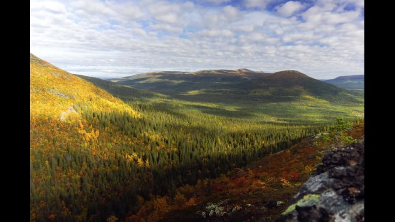 Autumn Timelapse