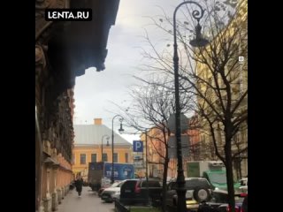 Барельеф с лицом Лукашенко в Петербурге