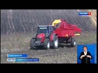 Видео от Минсельхоз Ставропольского края