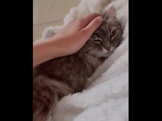 Video by Anastasia Shuvalova