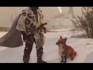 Ghost of Tsushima Director's Cut - Foxes