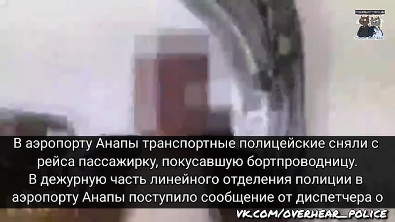 В аэропорту Анапы транспортные полицейские сняли с рейса