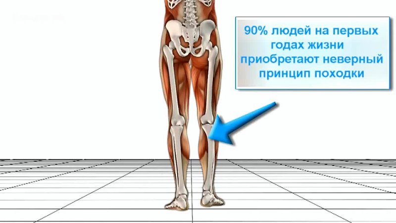 Ноги двигаются назвали. Биомеханика ходьбы. Биомеханика ходьбы человека. Биомеханика движений ног. Биомеханика стопы при ходьбе человека.
