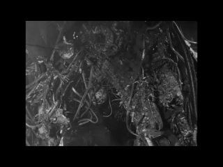 Тэцуо: Железный человек / Tetsuo (1989. реж. Shinya Tsukamoto)