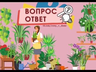 Вопрос-ответ.mp4