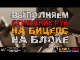 GymFit INFO СЕТ ФЕРОСИ. КАК ПРАВИЛЬНО КАЧАТЬСЯ ВЫПУСК №5. УПРАЖНЕНИЯ на БИЦЕПС | RUS, #GymFit INFO
