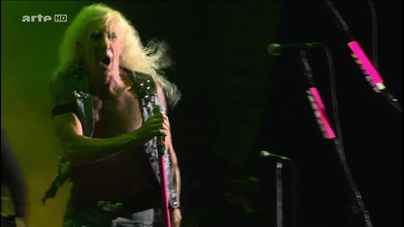 Twisted Sister - Live at Hellfest 2016