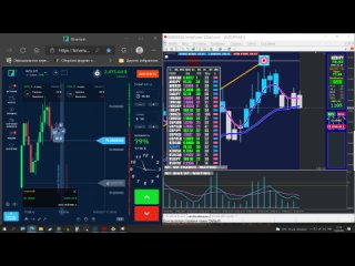 Тест ТС XARD на турнире 10.09.2021