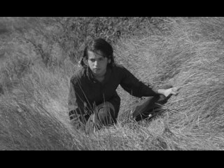 mouchette ─ robert bresson, 1967