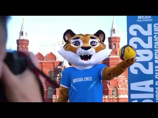 Тигр - официальный талисман FIVB 2022 в России